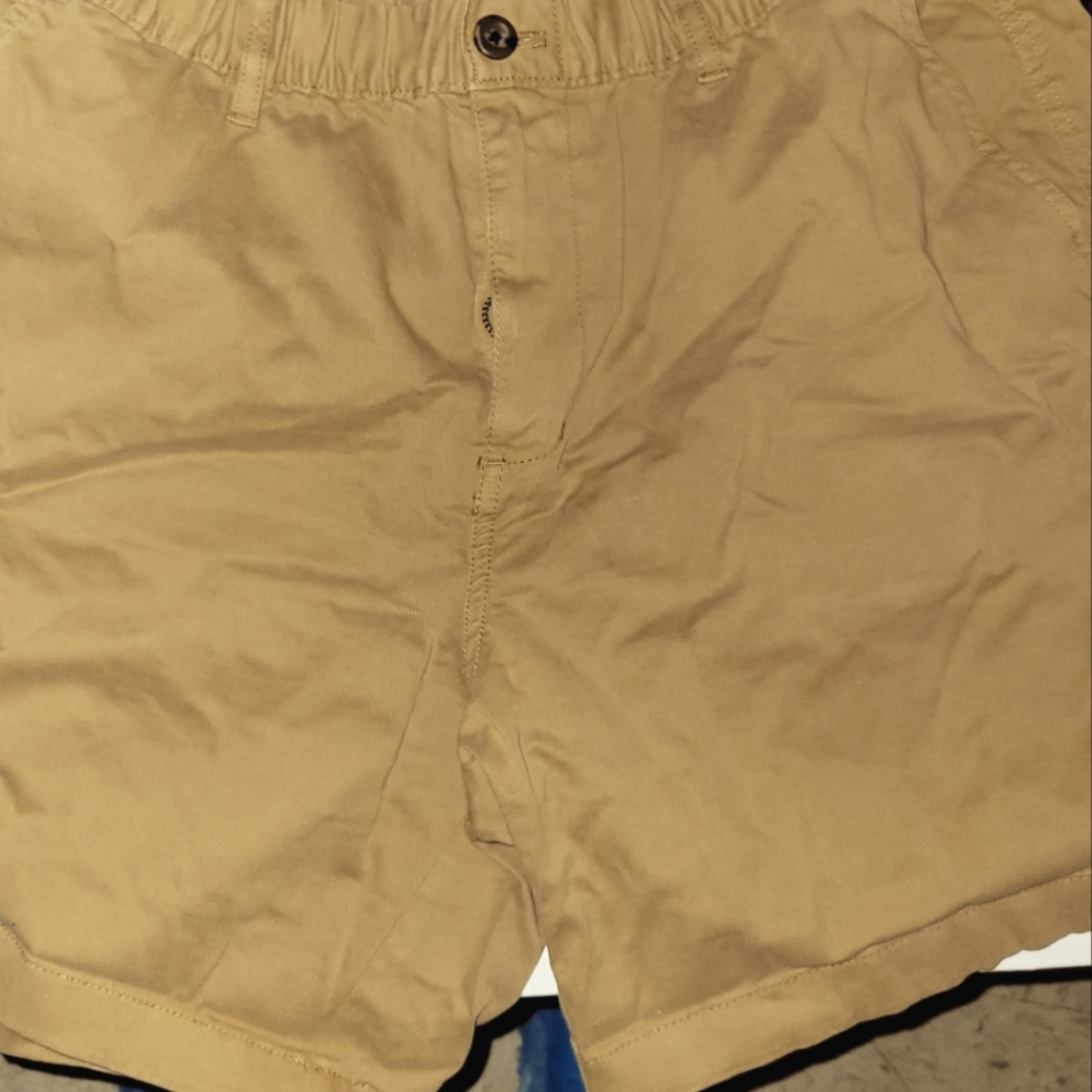 Bearbottom brand shorts